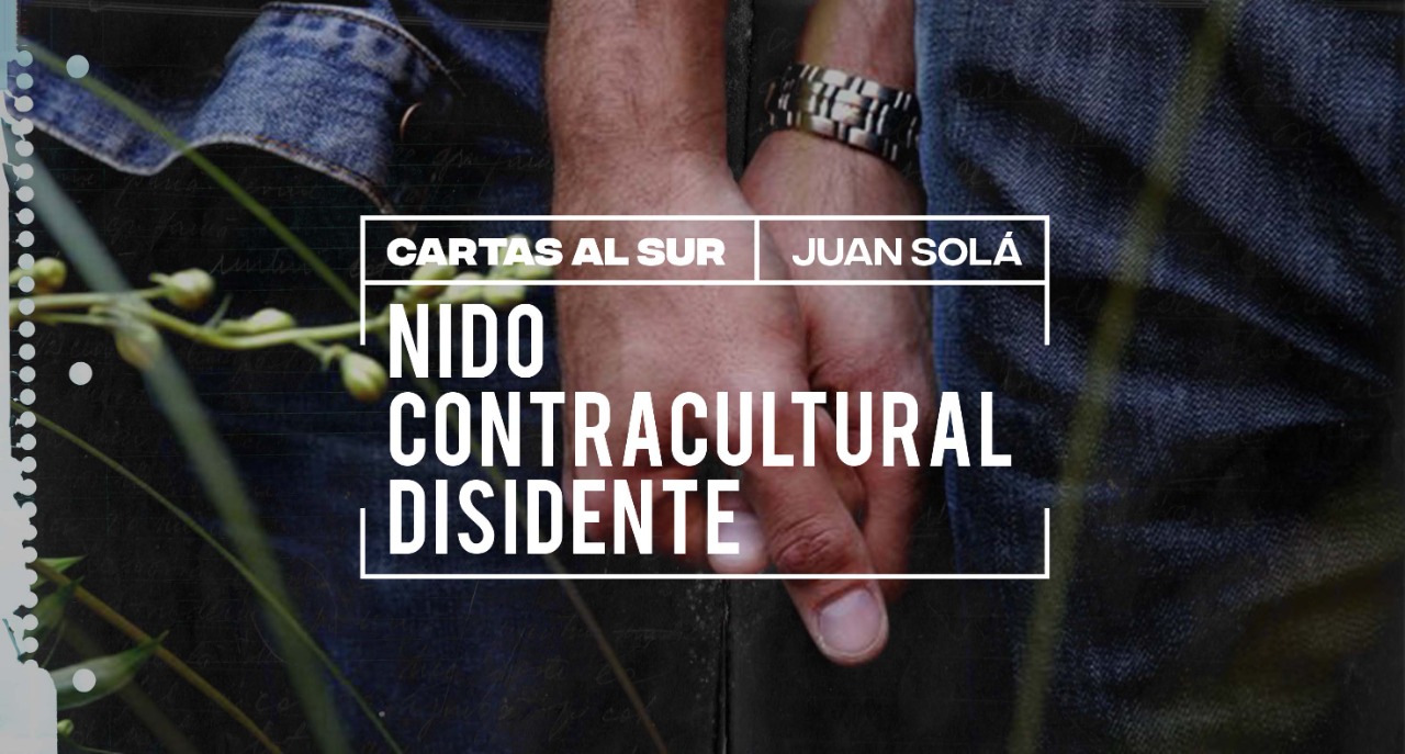 Nido Contracultural Disidente / Juan Solá